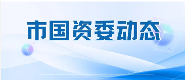 市国资委党委传达学习中共中央政治局会议精神、中共中央政治局第二十次集体学习精神