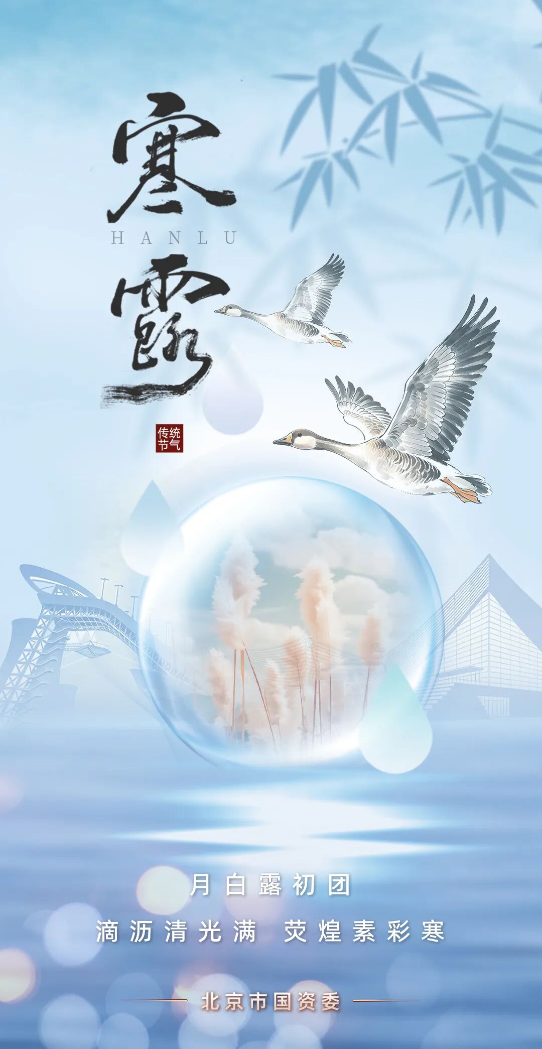 时至寒露 静赏清秋