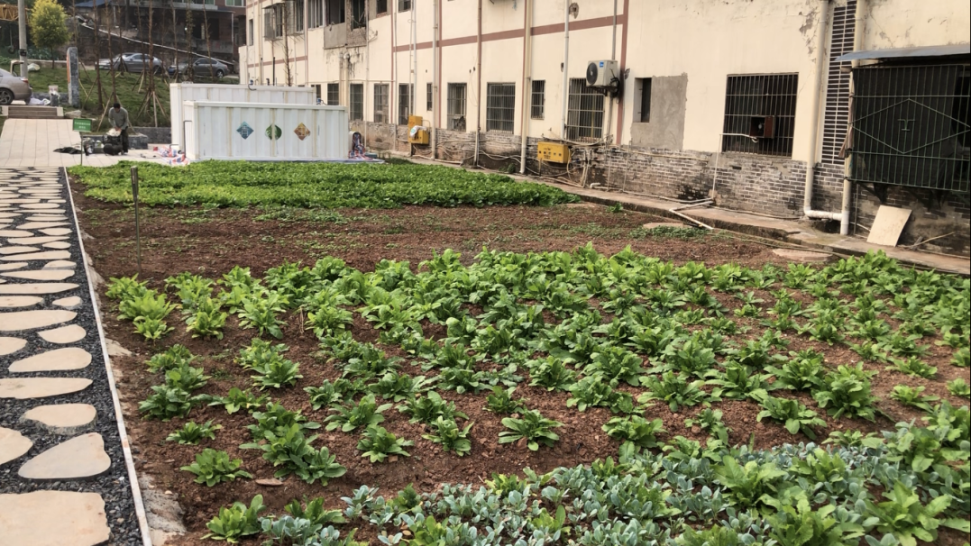 微信图片_20230215185718.png 微信图片_20230215185718.png